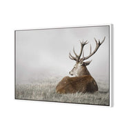 Stag in Lightness