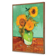 Sunflower On Green