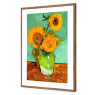 Sunflower On Green