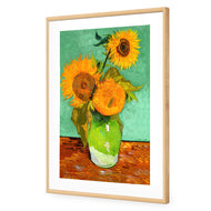 Sunflower On Green