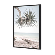 Pandanus in the Sky