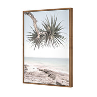 Pandanus in the Sky