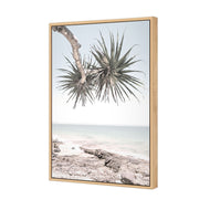Pandanus in the Sky
