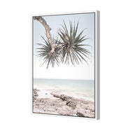 Pandanus in the Sky