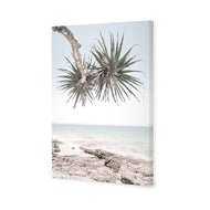 Pandanus in the Sky