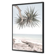 Pandanus in the Sky