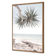 Pandanus in the Sky