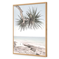 Pandanus in the Sky
