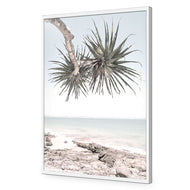 Pandanus in the Sky