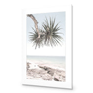 Pandanus in the Sky
