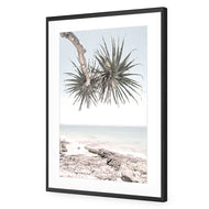 Pandanus in the Sky