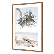 Pandanus in the Sky
