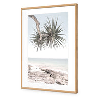 Pandanus in the Sky