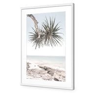 Pandanus in the Sky