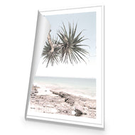 Pandanus in the Sky