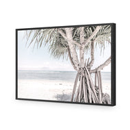 Pandanus at the Beach