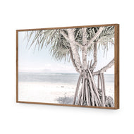 Pandanus at the Beach
