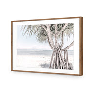 Pandanus at the Beach