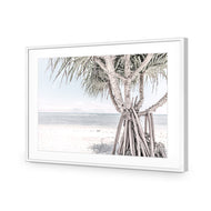 Pandanus at the Beach