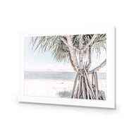 Pandanus at the Beach