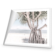 Pandanus at the Beach