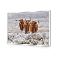 Trio of Highlanders