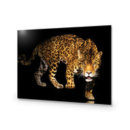 Angry Panther