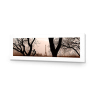 Eiffel Tower Through Trees