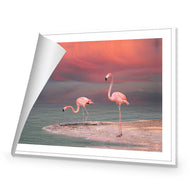 Pink Flamingos