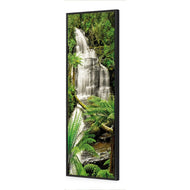 Triplet Falls Otway