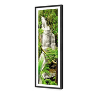 Triplet Falls Otway
