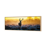 Red Deer at Dawn