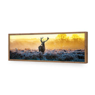 Red Deer at Dawn