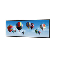 Hot Air Balloons