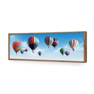 Hot Air Balloons