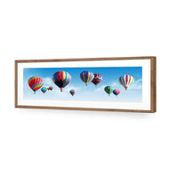 Hot Air Balloons