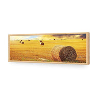 Bales of Hay Sunset