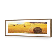 Bales of Hay Sunset