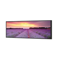 Lavender Sunset
