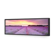 Lavender Sunset
