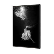 Ballet Submersed II