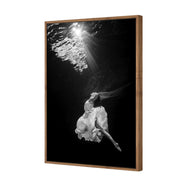 Ballet Submersed II