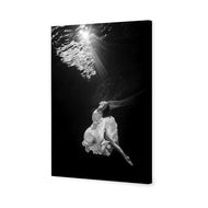 Ballet Submersed II
