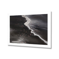Flamingo's Paradise - Lake Natron