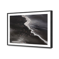 Flamingo's Paradise - Lake Natron