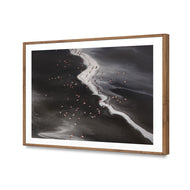 Flamingo's Paradise - Lake Natron