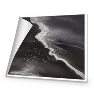 Flamingo's Paradise - Lake Natron