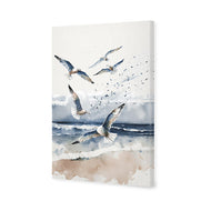 Seagulls 1