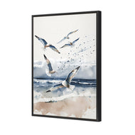 Seagulls 1