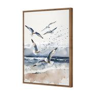 Seagulls 1